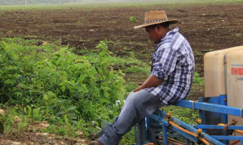 Financiera Nacional de Desarrollo, un verdugo más para el campo