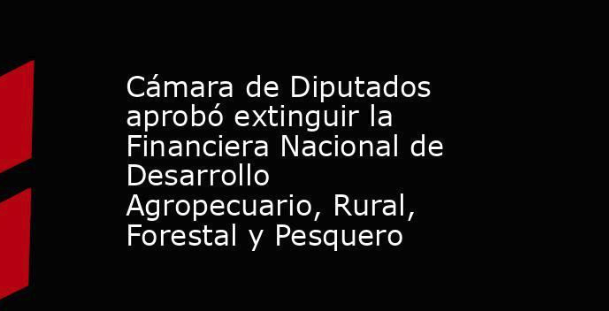 Financiera Nacional de Desarrollo, extinción sin solución